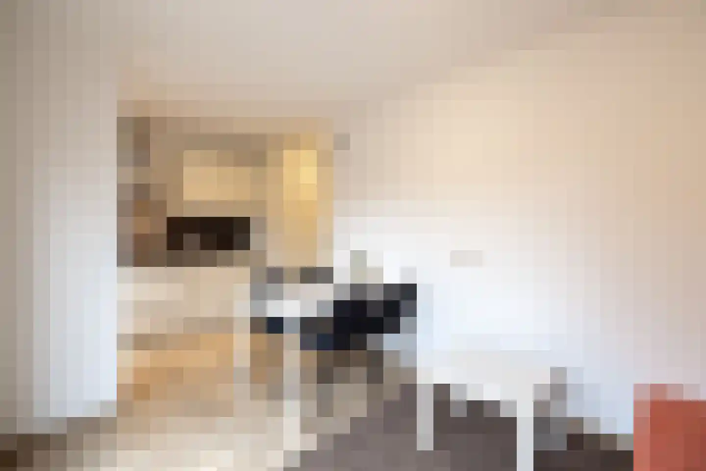 Bizetlaan 2 Doetinchem thumbnail 23