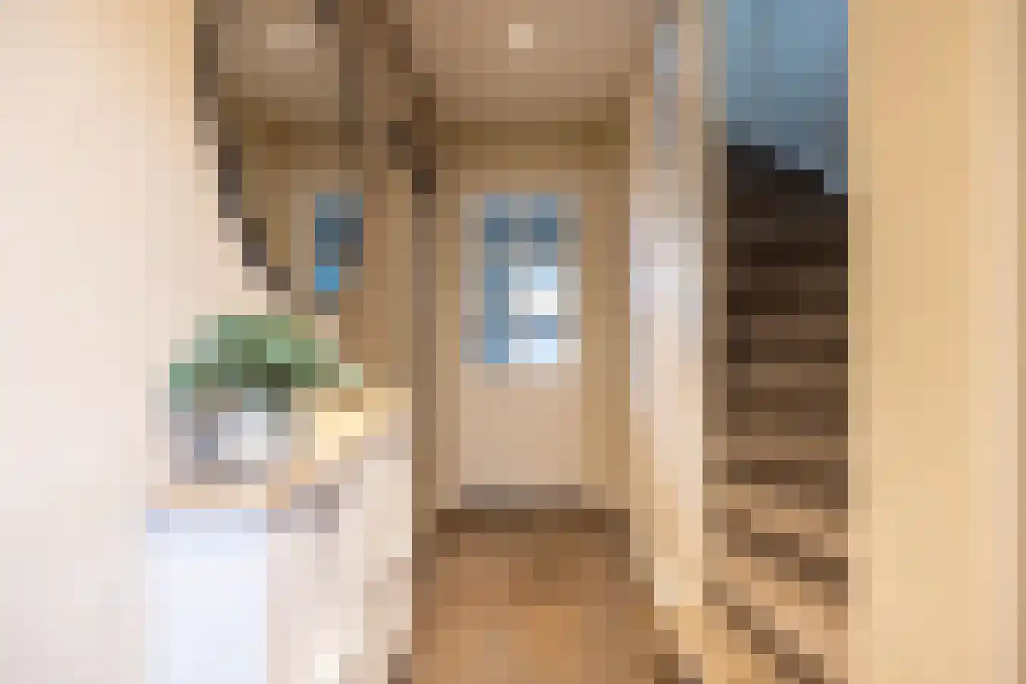 Bizetlaan 2 Doetinchem thumbnail 34