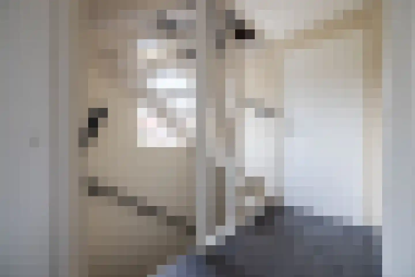 Bizetlaan 2 Doetinchem thumbnail 43