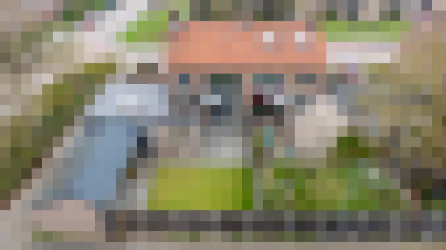 Bizetlaan 2 Doetinchem thumbnail 50