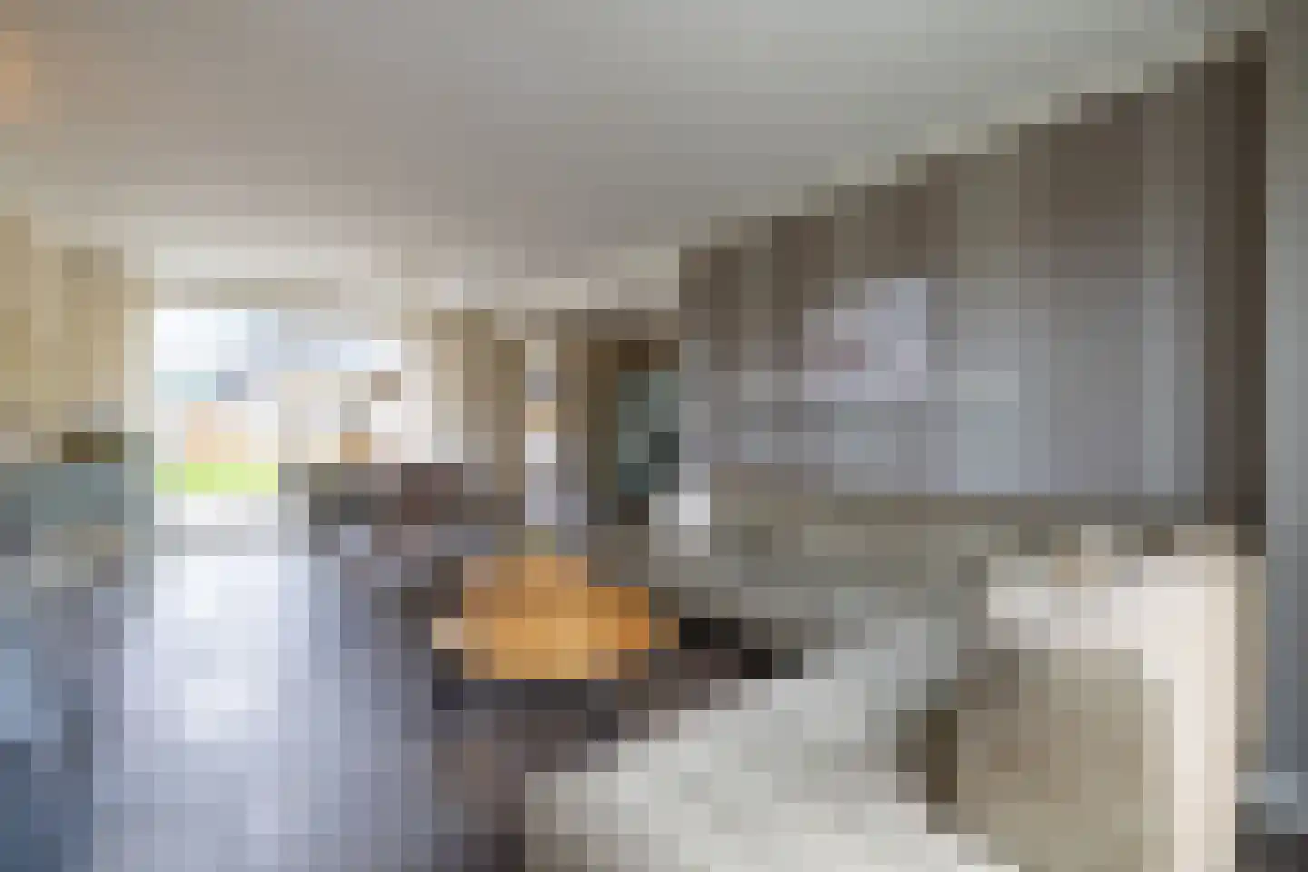 Bizetlaan 2 Doetinchem thumbnail 6