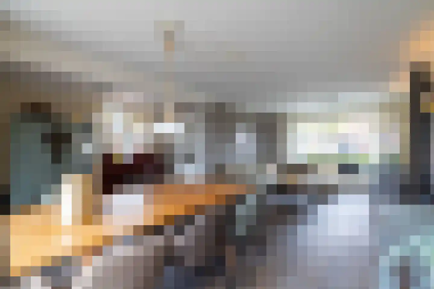 Bizetlaan 2 Doetinchem thumbnail 7