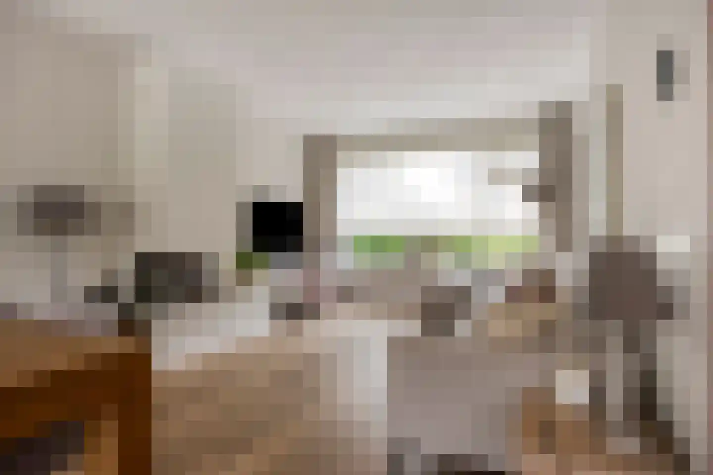 Bizetlaan 24 Oosterhout thumbnail 10