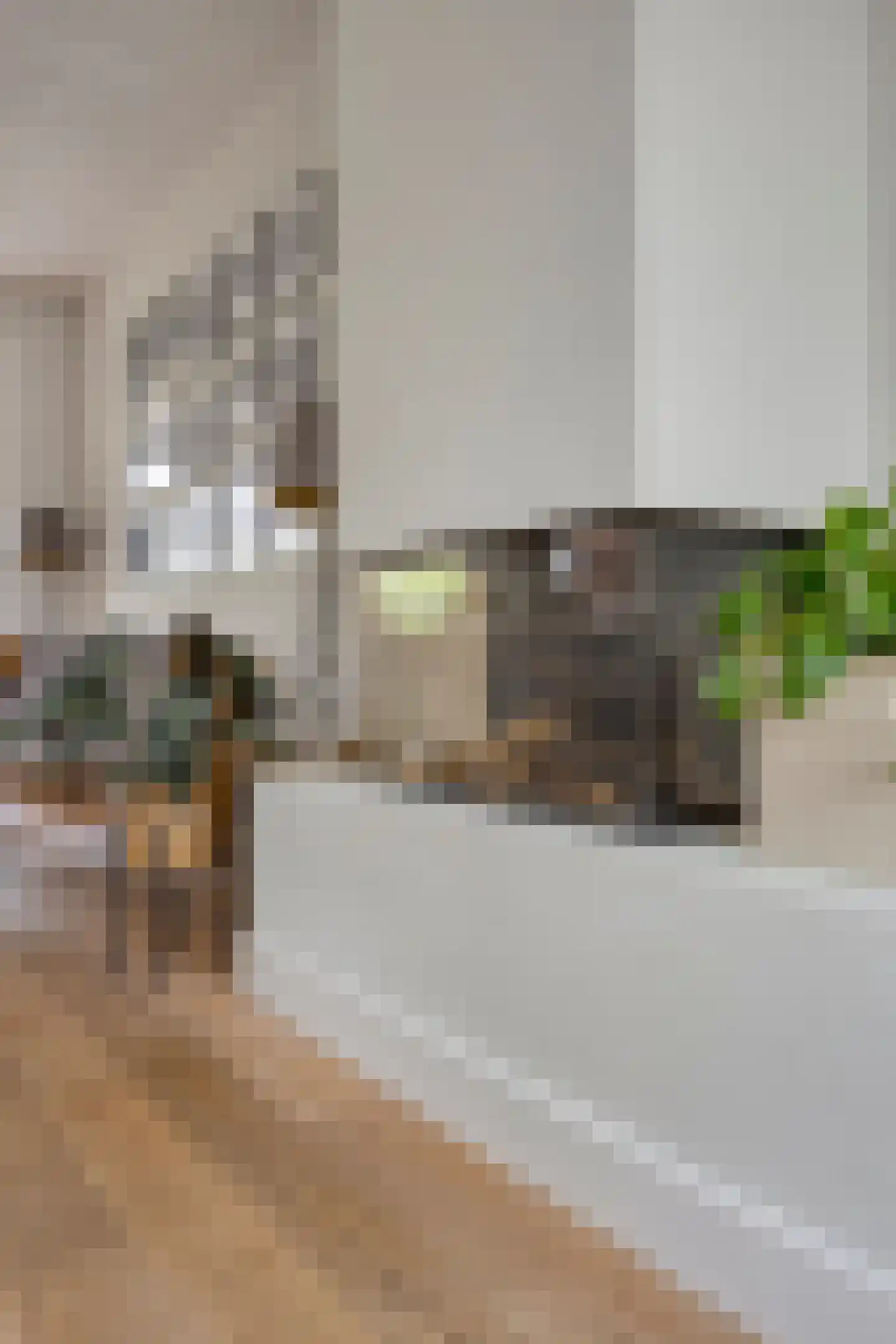 Bizetlaan 24 Oosterhout thumbnail 26