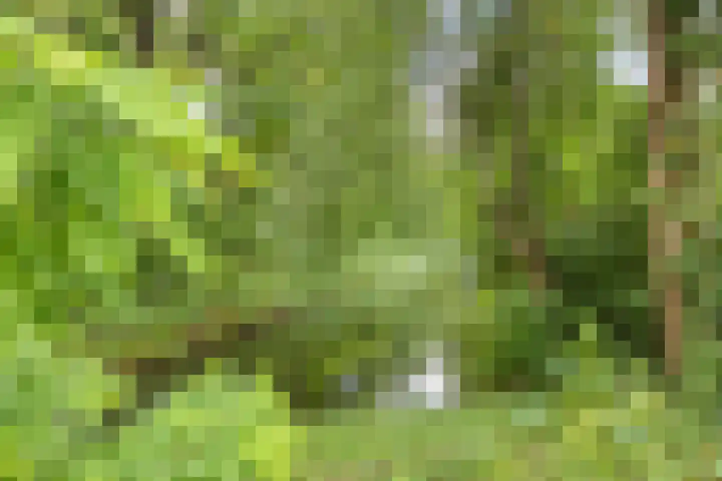 Bizetlaan 24 Oosterhout thumbnail 55
