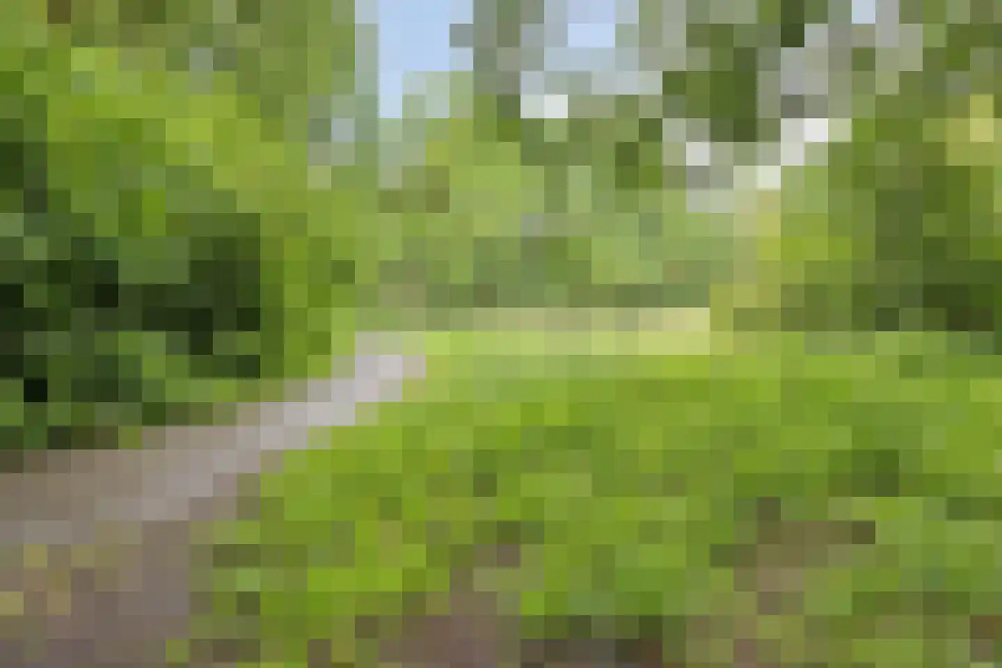 Bizetlaan 24 Oosterhout thumbnail 56