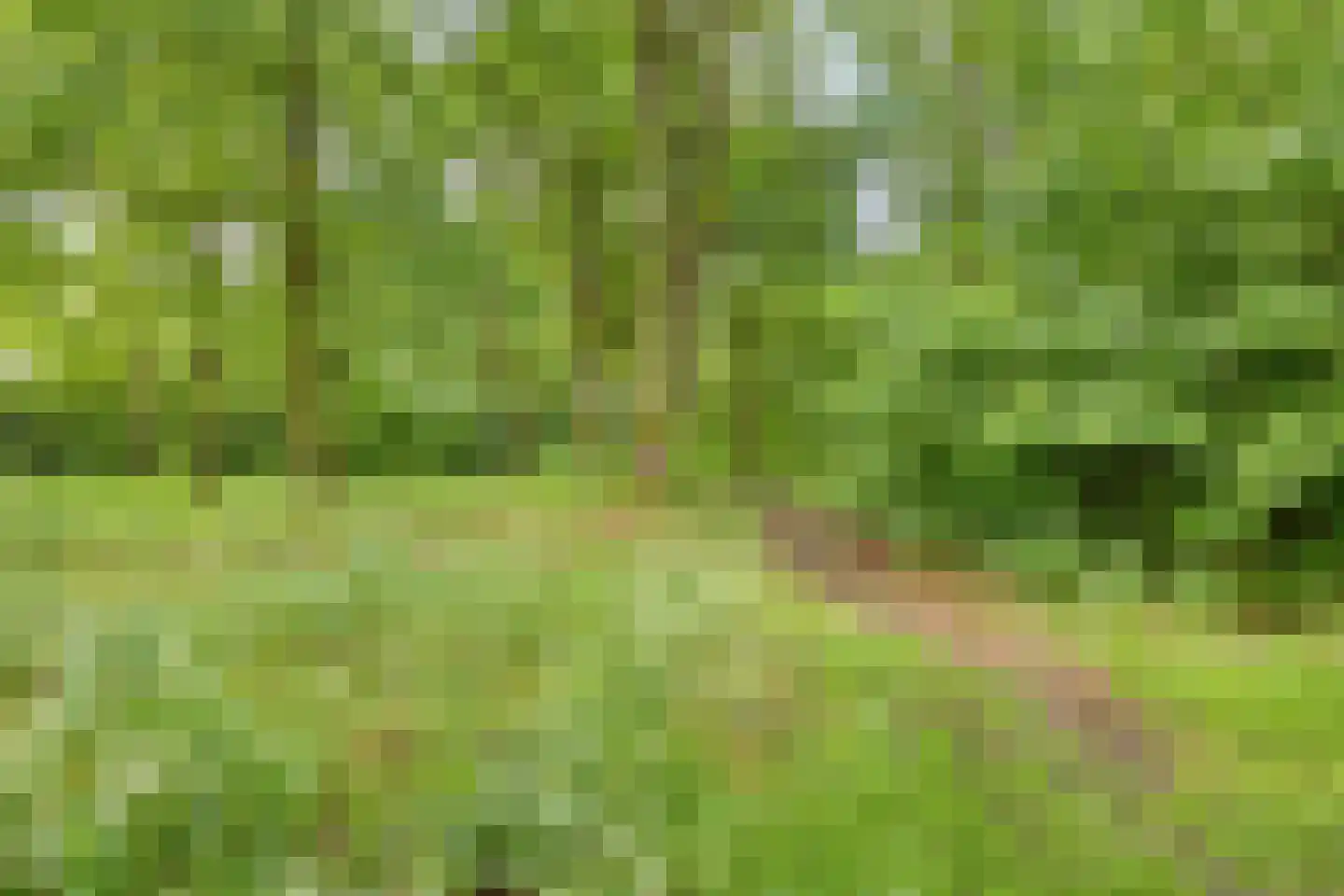 Bizetlaan 24 Oosterhout thumbnail 58