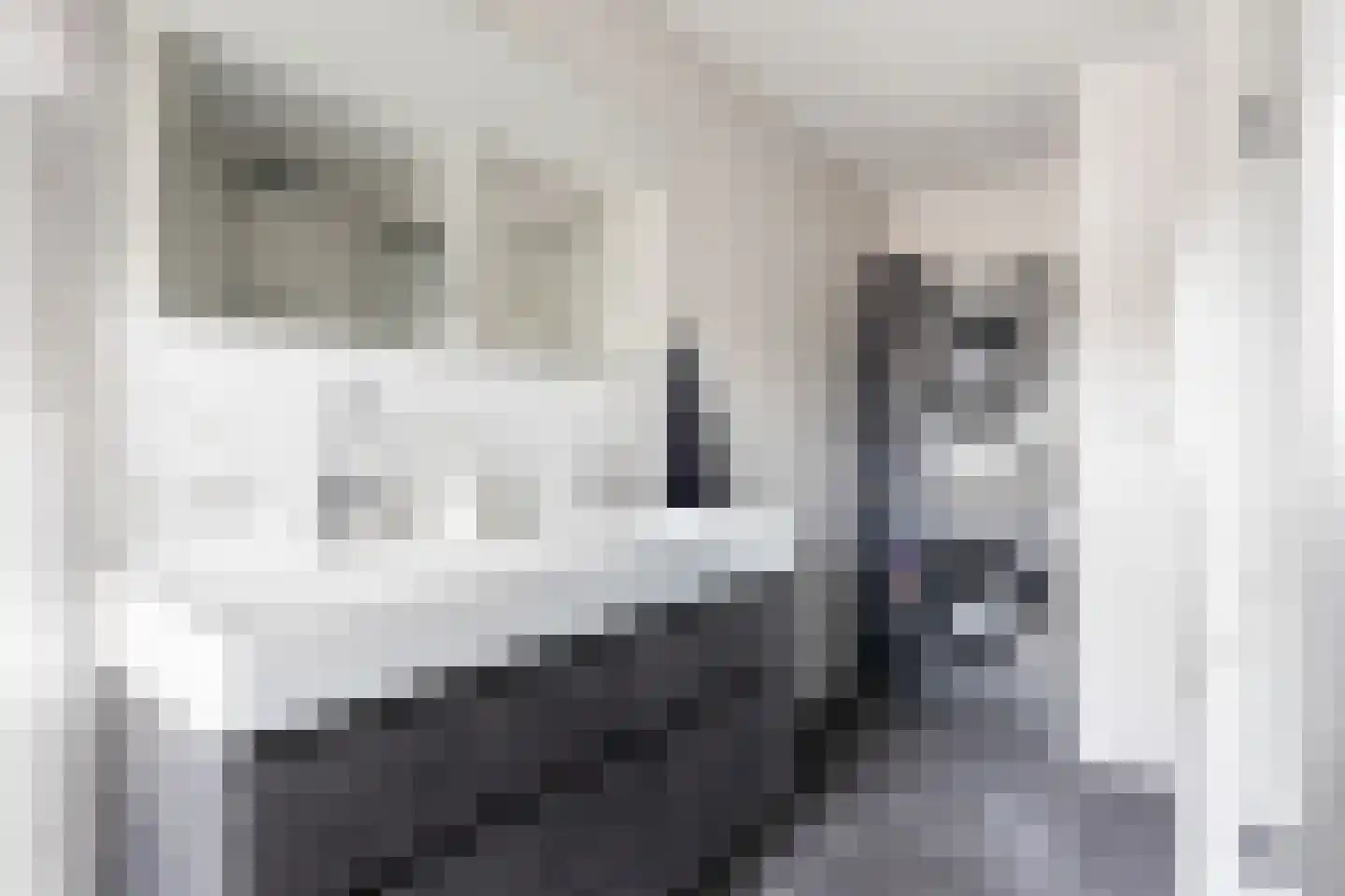 Bizetlaan 6 Apeldoorn thumbnail 29