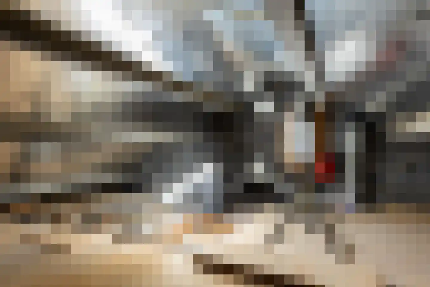 Bizetlaan 6 Apeldoorn thumbnail 33