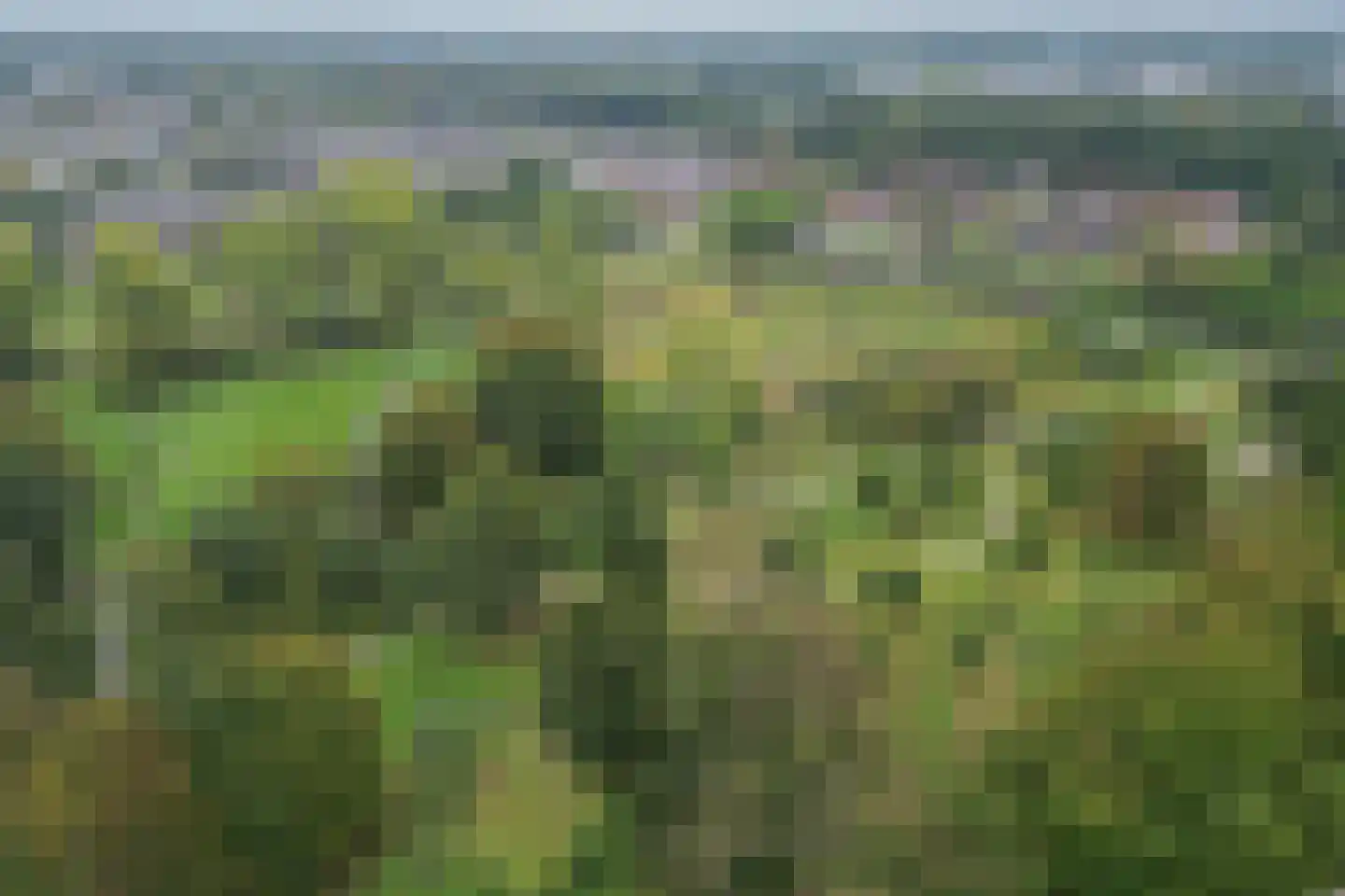 Bizetlaan 6 Apeldoorn thumbnail 41