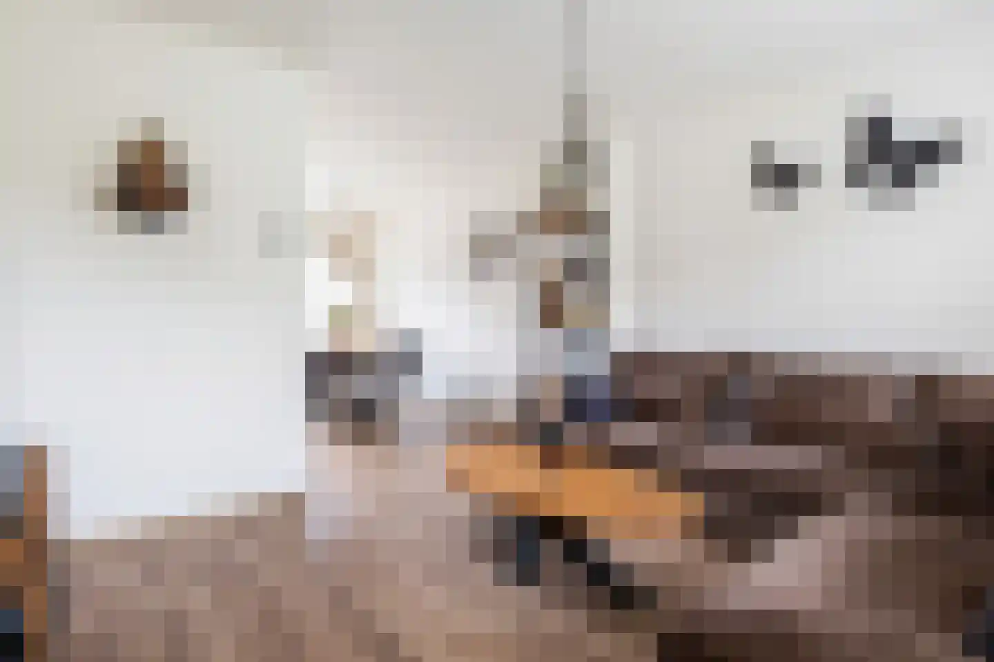 Bizetlaan 6 Apeldoorn thumbnail 6