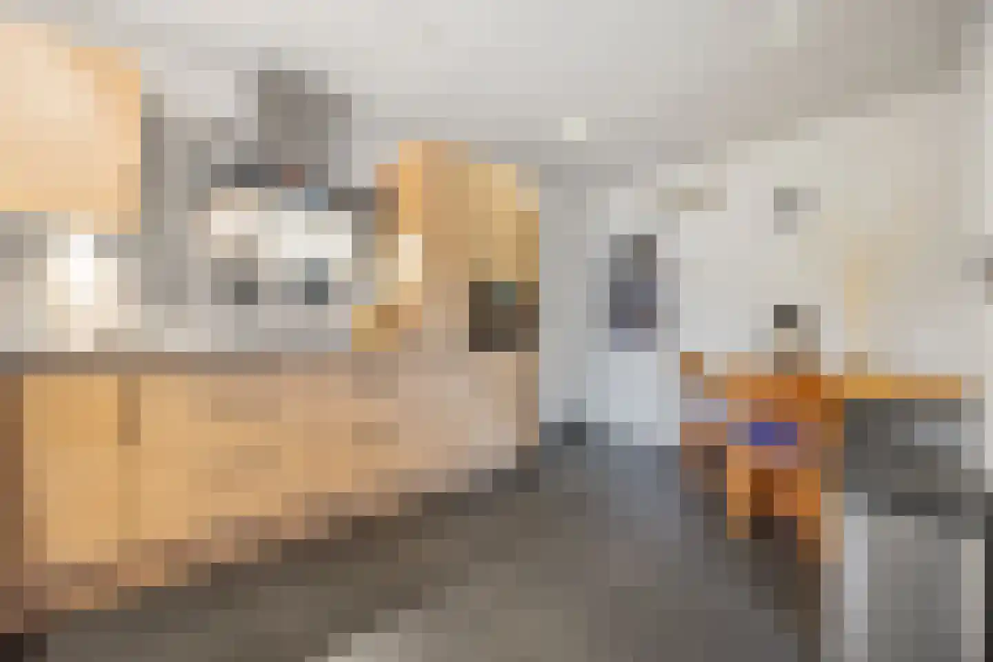 Bizetlaan 6 Vlijmen thumbnail 12