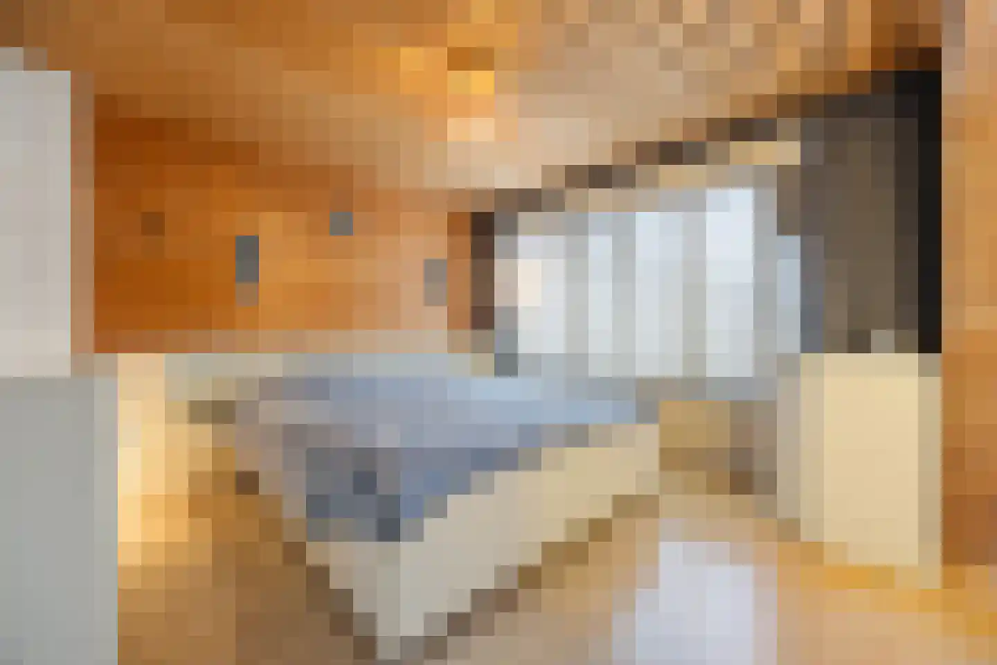 Bizetlaan 6 Vlijmen thumbnail 14