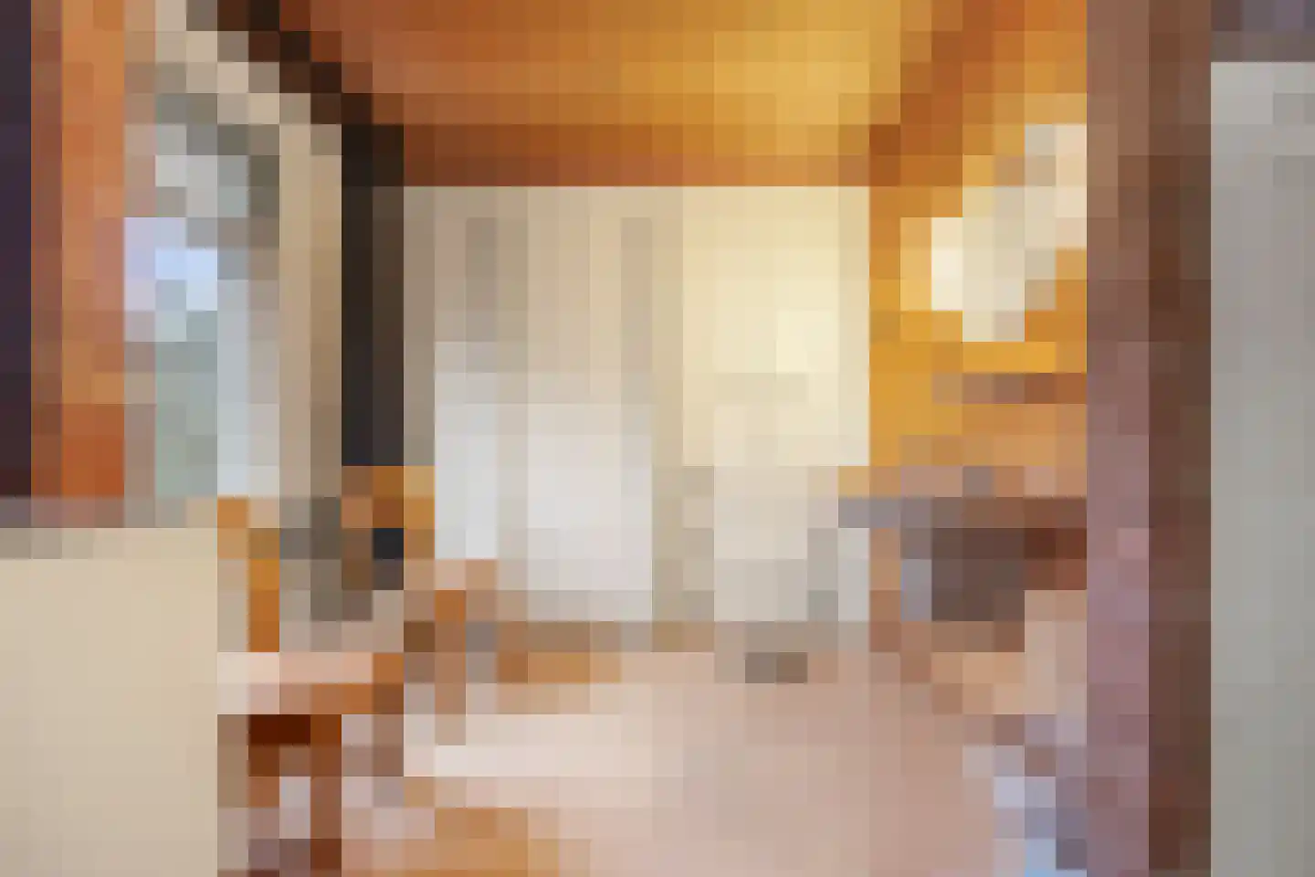 Bizetlaan 6 Vlijmen thumbnail 16