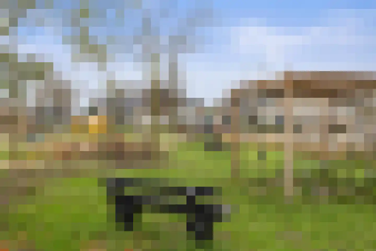 Bizetlaan 6 Vlijmen thumbnail 29