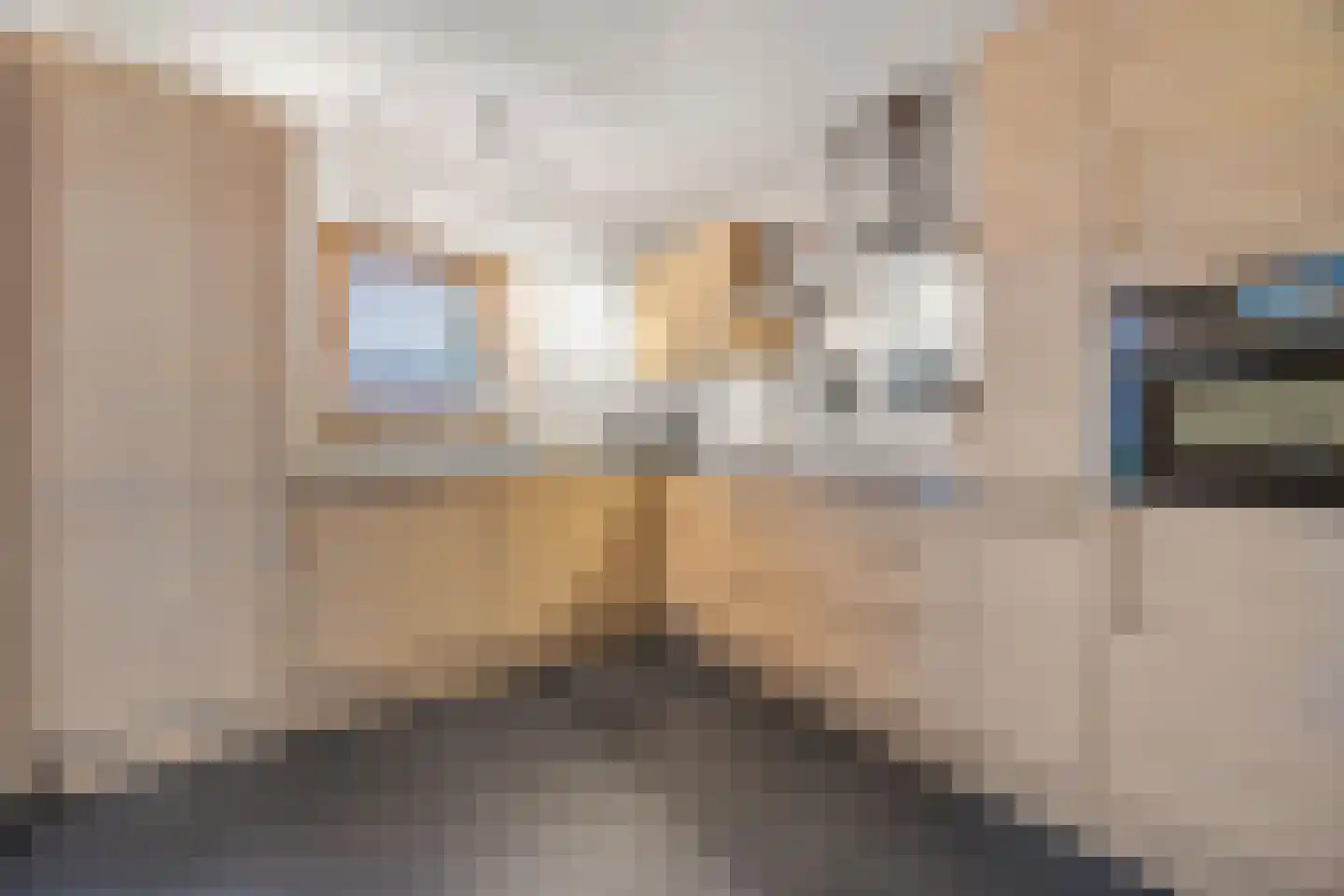 Bizetlaan 6 Vlijmen foto 3