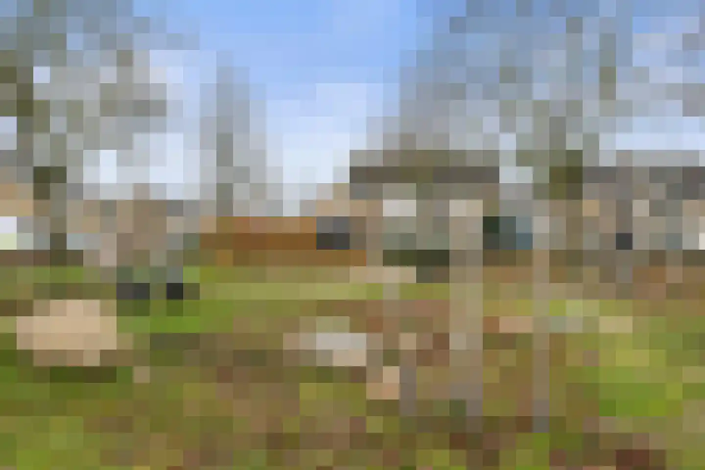 Bizetlaan 6 Vlijmen thumbnail 30
