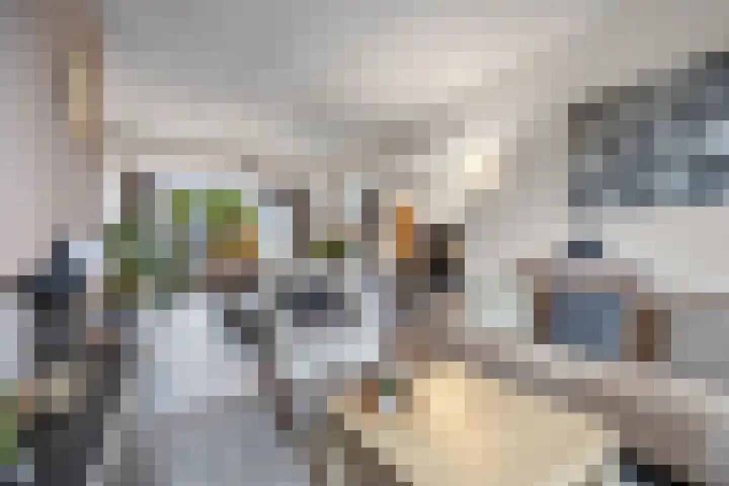 Bizetlaan 6 Vlijmen thumbnail 7