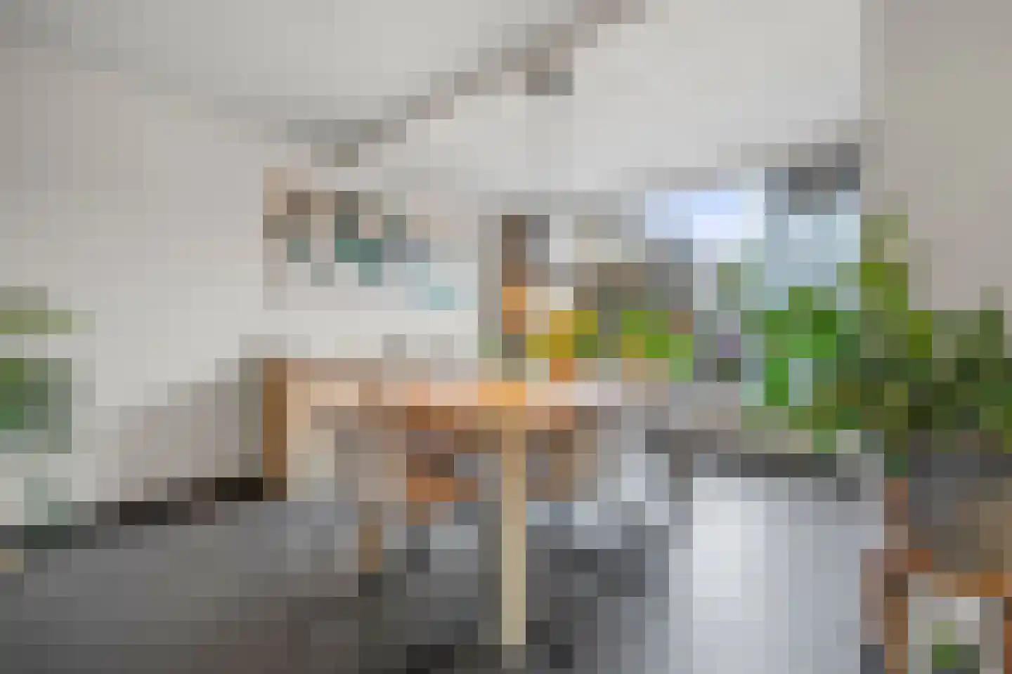 Bizetlaan 6 Vlijmen thumbnail 8