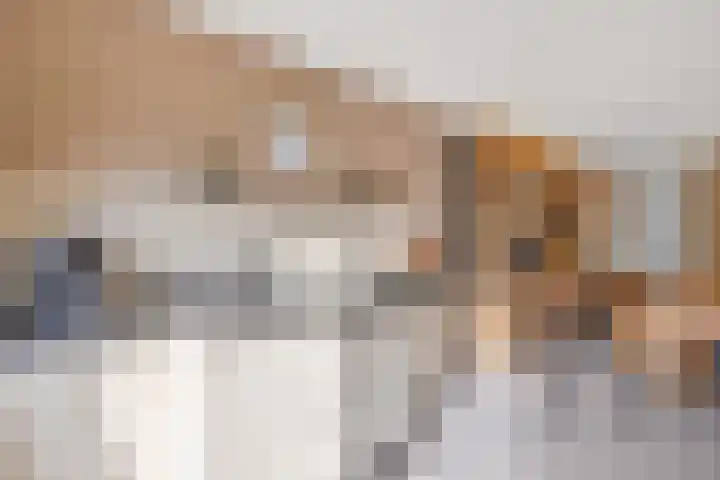 Bizetpad 2 Dirksland thumbnail 13