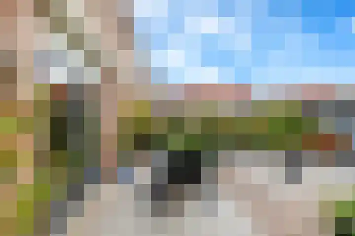 Bizetpad 2 Dirksland thumbnail 15