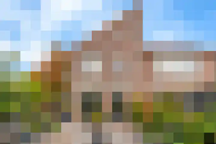 Bizetpad 2 Dirksland thumbnail 18