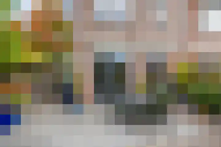 Bizetpad 2 Dirksland thumbnail 19
