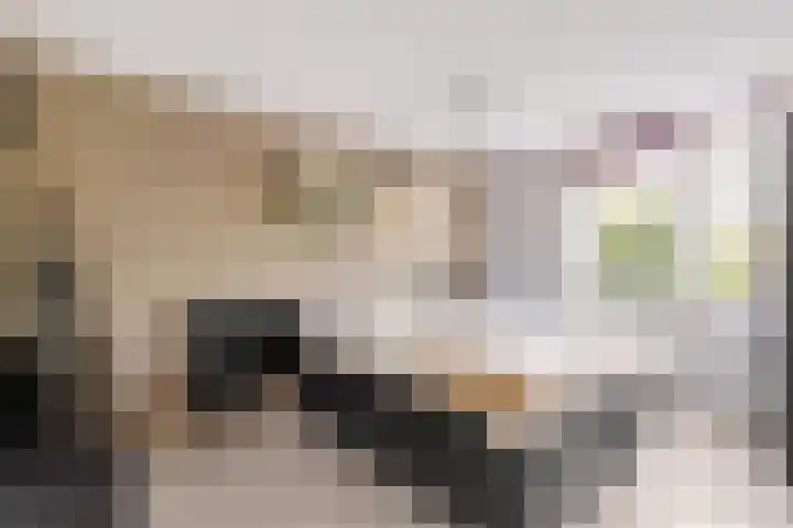 Bizetpad 2 Dirksland thumbnail 23