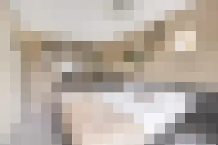 Bizetpad 2 Dirksland thumbnail 24