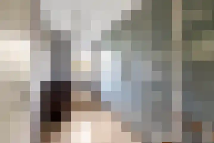 Bizetpad 2 Dirksland thumbnail 25