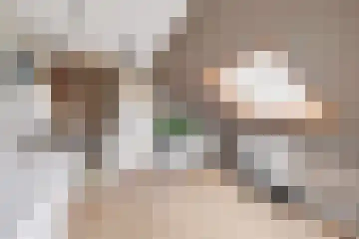 Bizetpad 2 Dirksland thumbnail 33