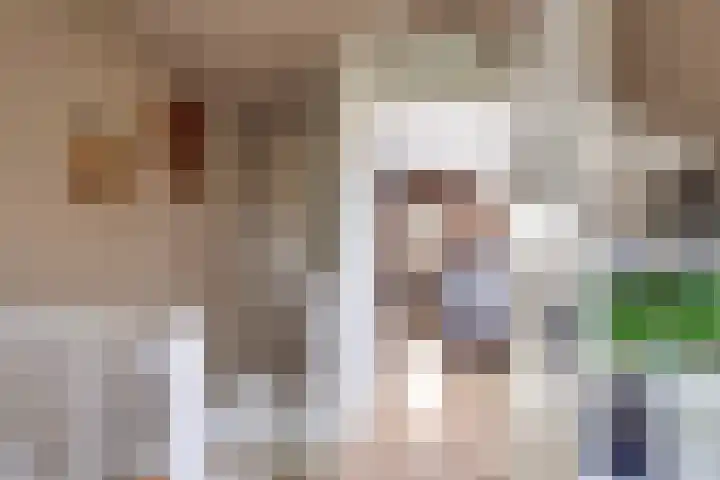 Bizetpad 2 Dirksland thumbnail 34