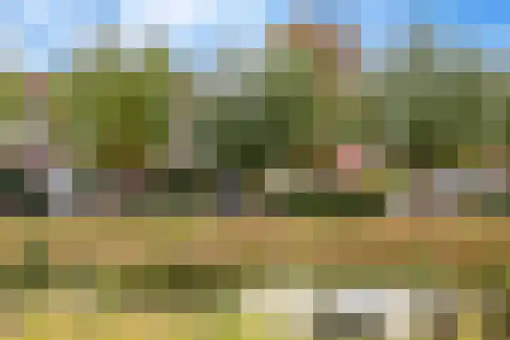 Bizetpad 2 Dirksland thumbnail 40