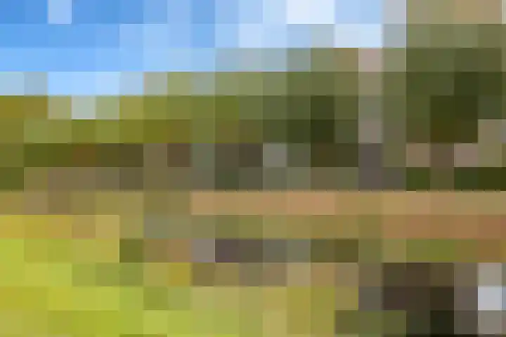 Bizetpad 2 Dirksland thumbnail 41