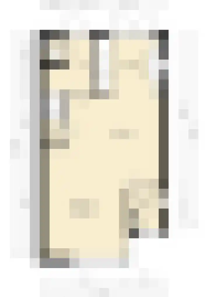 Bizetpad 2 Dirksland thumbnail 44