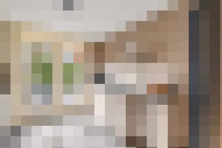 Bizetpad 2 Dirksland thumbnail 6