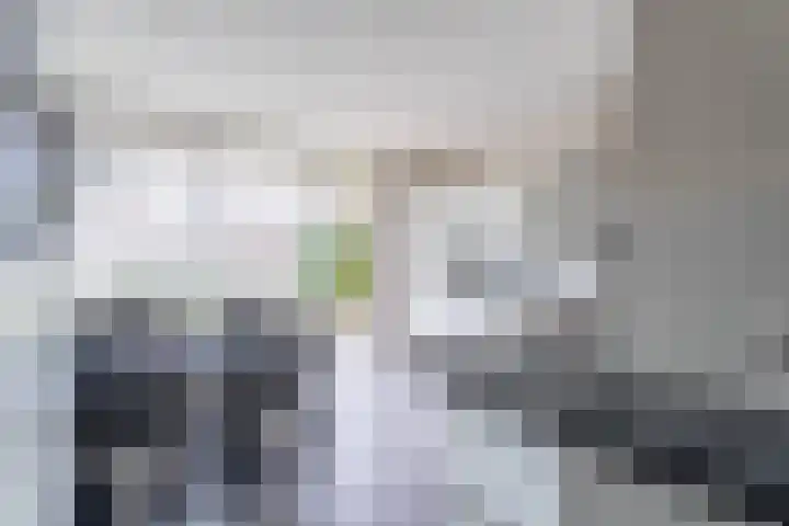 Bizetplantsoen 41 Tilburg thumbnail 12