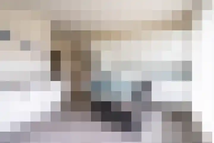 Bizetplantsoen 41 Tilburg thumbnail 13