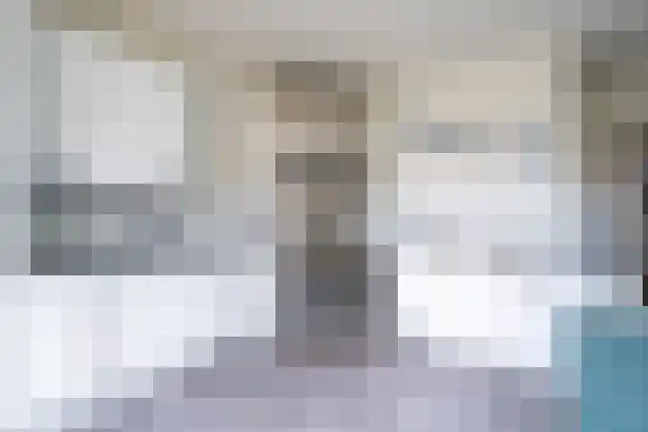 Bizetplantsoen 41 Tilburg thumbnail 14