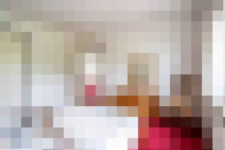 Bizetplantsoen 41 Tilburg thumbnail 18