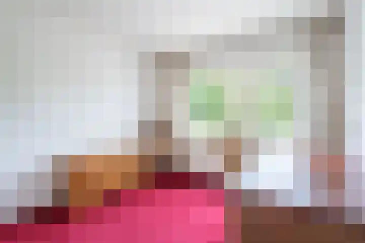Bizetplantsoen 41 Tilburg thumbnail 21