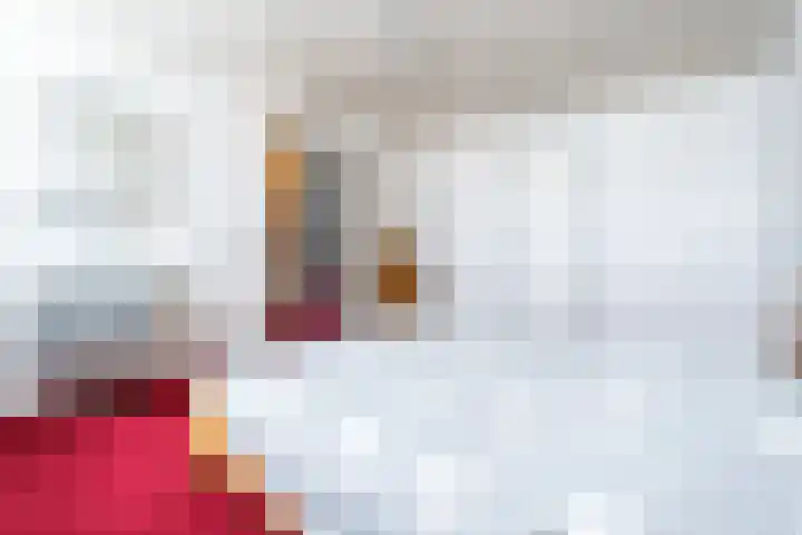 Bizetplantsoen 41 Tilburg thumbnail 27
