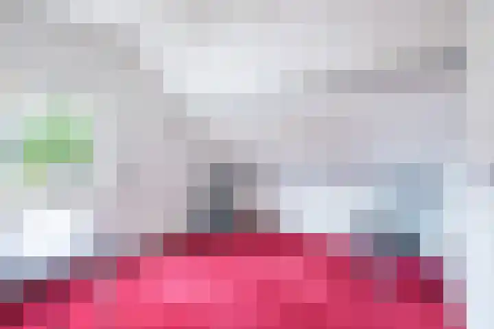 Bizetplantsoen 41 Tilburg thumbnail 29