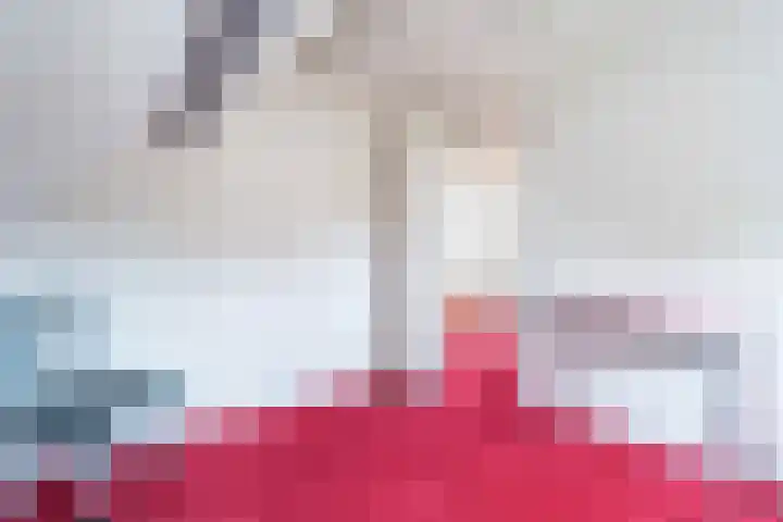 Bizetplantsoen 41 Tilburg thumbnail 30