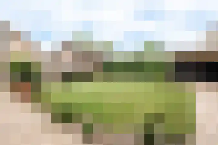 Bizetplantsoen 41 Tilburg thumbnail 33
