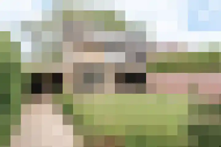 Bizetplantsoen 41 Tilburg thumbnail 35