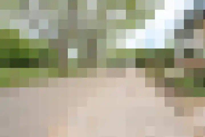 Bizetplantsoen 41 Tilburg thumbnail 37