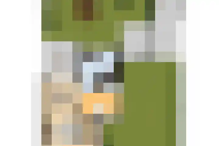 Bizetplantsoen 41 Tilburg thumbnail 39