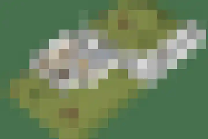 Bizetplantsoen 41 Tilburg thumbnail 40