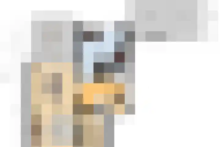Bizetplantsoen 41 Tilburg thumbnail 41